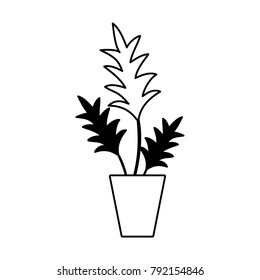 contour nature plant with leaves inside flowerpot