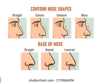 all different nose shapes