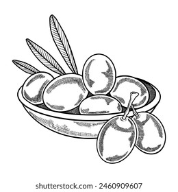 Kontur der Oliven. Umrisse der Oliven. Handgezeichnete Oliven auf einem Teller. Oliven-Vektorillustration. Isolierter Hintergrund