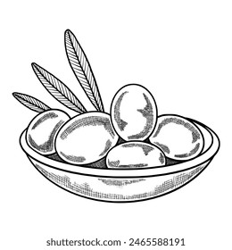 Contour of olives. Outline olives. Hand drawn olives on a plate. Olives vector illustration. Isolated background