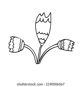 Contour of outlandish abstract flower. Hand drawn floral elements for design. Sketch drawing.