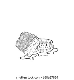 Contour pattern honeycombs. Wax and honey. Vector illustration.