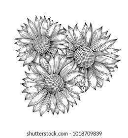 Contour pattern of sunflower. Vector illustration. Hand drawn flowers. 