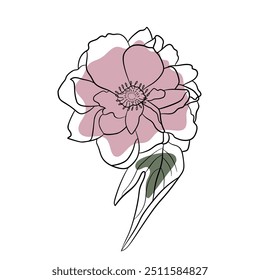 Contour peony flower. Vector isolated minimalistic flower