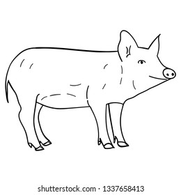 Contour pig in doodle style. Vector illustration on white background.