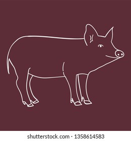 Contour pig in doodle style. Vector illustration on color background.