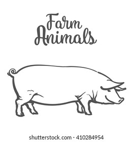 Contour pigs in all growth. Sketch black and white illustration of a pig farmer, concept of natural meat products, vector