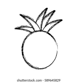 contour pineapple fruit icon stock, vector illustration design