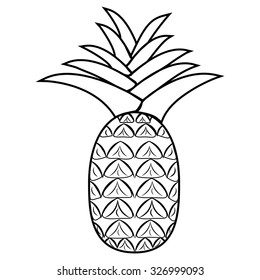 Contour pineapple on a white background