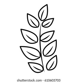 contour plant branch decoration design