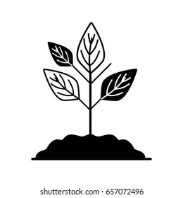 contour plant with ground to save and care environment