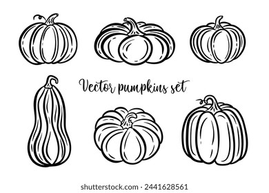 Contour of pumpkins collection, vector set black line illustrations