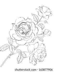 Contour of rose isolated over white. Vector illustration