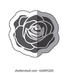 contour rose with oval petals and leaves icon, vector illustraction design