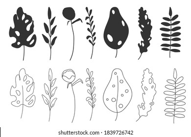 Contour and silhouette exotic tropical leaf set. Hand drawn different abstract jungle floral botanic leaves palm, monstera for decorative composition or invitation card. Isolated vector illustration