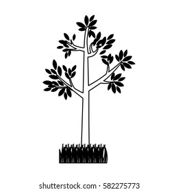 contour silhouette tree leafy with bush vector illustration