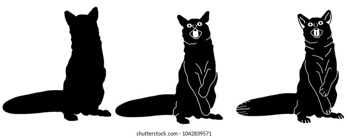 
Contour sitting on the hind legs of a cat of black color, vector