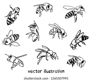 Contour sketch of bees. Vector set for design