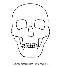 contour of skull