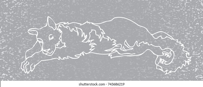 Contour of sleeping dog. Vector illustration. White outline of animal on grey background.