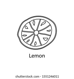 Contour slice of lemon. Isolated vector icon. Outline hand drawn illustration for fruit design, culinary, food packaging. Doodle style