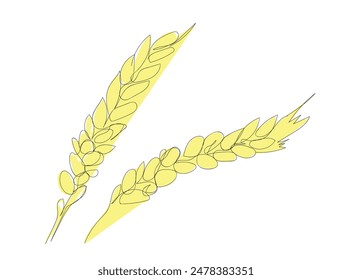 Contour sprigs of oats or wheat ears. Outline isolated icons. Hand drawn vector illustration for logo, print, poster. 