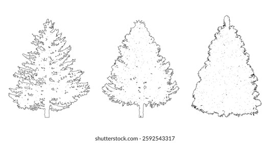 Contour of spruce trees isolated on a white background