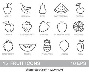 Contour stylized fruit icons. Outlines vector illustration