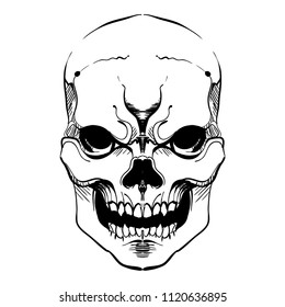 Contour stylized skull on white background.