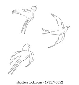 Contour swallows illustration. Idea for decors, picture in frame, gifts, ornaments, patterns, celebrations, invitation, greeting, wedding, spring holidays, nature themes. Isolated vectors. Artwork.