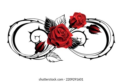 Contour symbol of infinity from thorny stems, with red blooming roses on white background. Gothic style.