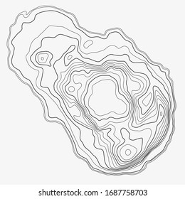 Contour topographic map. Geographic grid map background. Vector illustration.
