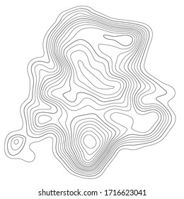 Contour topographic map. Geographic grid map background. Black lines on white background. Vector illustration.