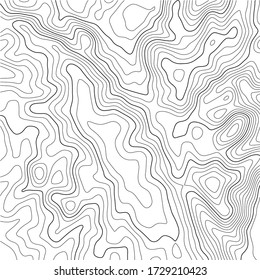 Contour topographic map. Geographic grid map background. Black lines on white background. Vector illustration.