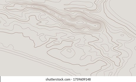 Contour topographic map. Geographic grid map background. Vector illustration.