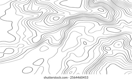 Contour topographic map. Geographic grid map background. Black lines on white background. Vector illustration.