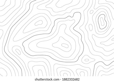 Contour Topographic Pattern in Black and White
