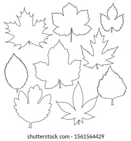 Contour Tree Leaves Selection Set Stock Vector (Royalty Free ...