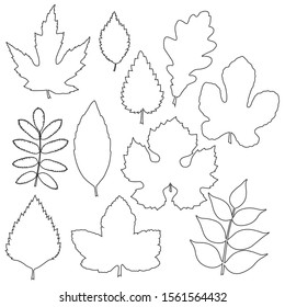 contour tree leaves selection set