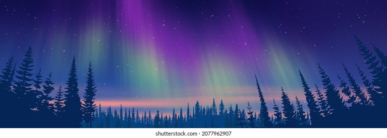 Contour of trees against the background of aurora borealis, winter holiday illustration