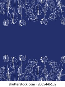 contour tulips illustration blue background. Vector illustration