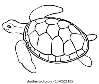 46 Cute Coloring Pages Turtle  Latest