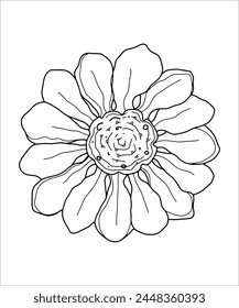 Contour vector clipart chamomile, peony, daisy on a transparent background. Coloring page, postcard, tattoo.