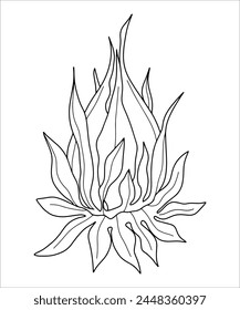 Contour vector clipart of a tropical flower, plant, bud on a transparent background. Coloring book, postcard, tattoo.