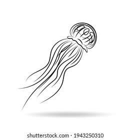 Contour vector design black color jellyfish (medusa). Suitable as an icon, silhouette for ready-made marine illustrations. EPS 10.