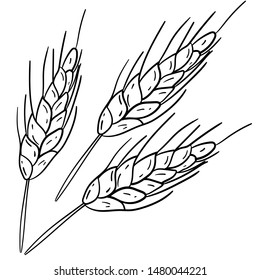 Contour vector illustration with ears of wheat on white background. Coloring book idea. Hand drawn cartoon illustration. Good for printing. Illustration with ears. 