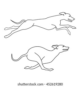 Contour vector image of running dogs whippet breed, two poses