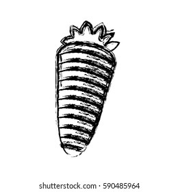 contour vegetable carrot icon, vector illustraction design image