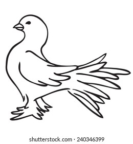  contour white doves vector picture