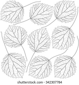 contoured aspen leaves